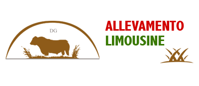 Allevamento Limousine Partinico - D'Arrigo Gaspare