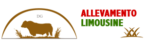 Allevamento Limousine Partinico - D'Arrigo Gaspare